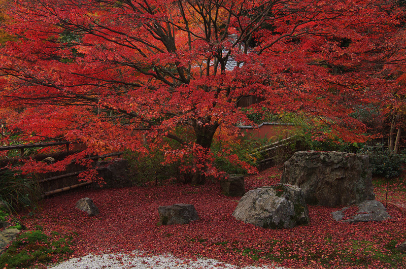 晩秋絶景（直指庵・後編）_f0155048_2358055.jpg