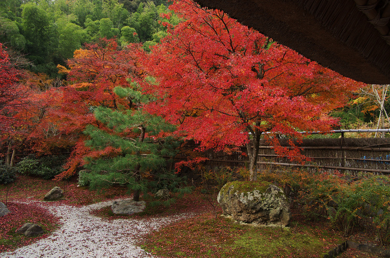 晩秋絶景（直指庵・後編）_f0155048_2358390.jpg