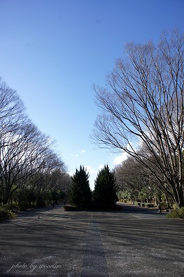 b0102560_20135233.jpg