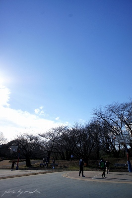 b0102560_2019172.jpg