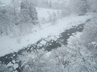 今年初めての大雪です_a0243562_13481449.jpg