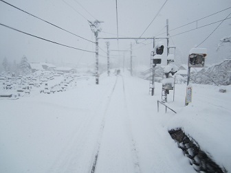 今年初めての大雪です_a0243562_13511411.jpg
