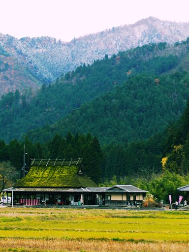 美山（みやま）散歩写真_c0191967_20543574.jpg