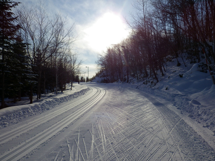 a0250369_15135926.jpg