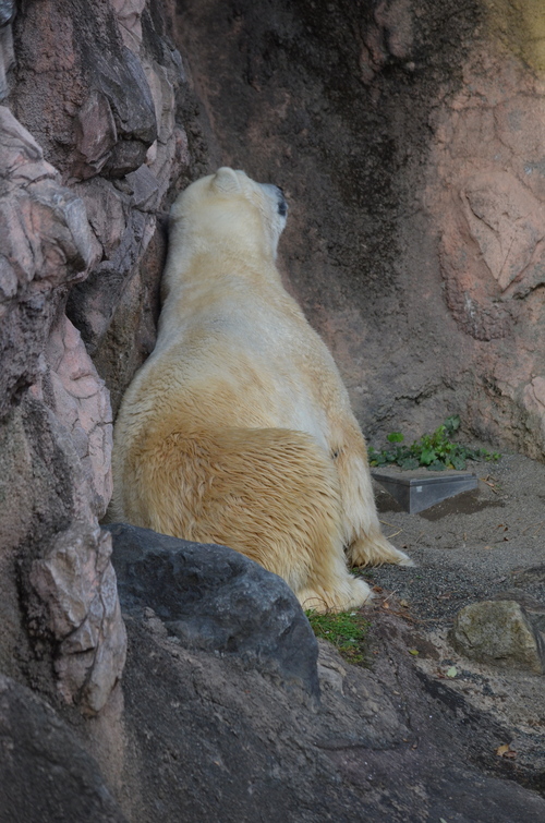 e0213169_2163524.jpg