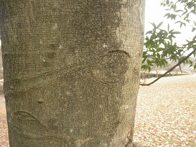 f0057070_17164530.jpg