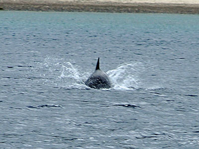 「天気は下り気味でしたが」_b0033573_17183011.jpg