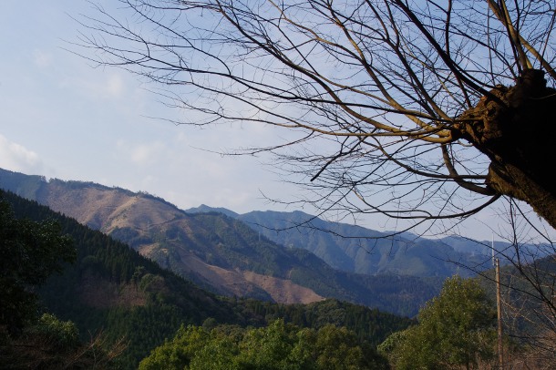 a0189883_8215223.jpg