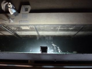 f0169885_21445718.jpg