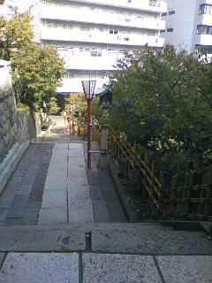 e0268291_17857.jpg
