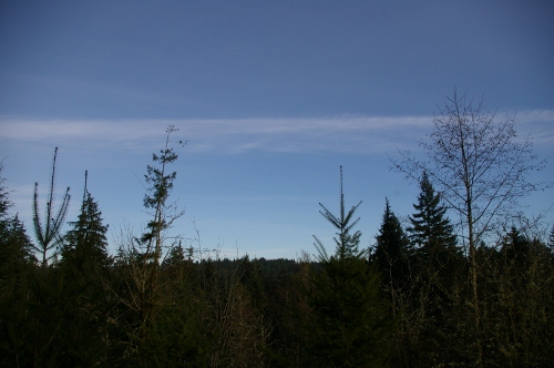 b0283192_8384015.jpg