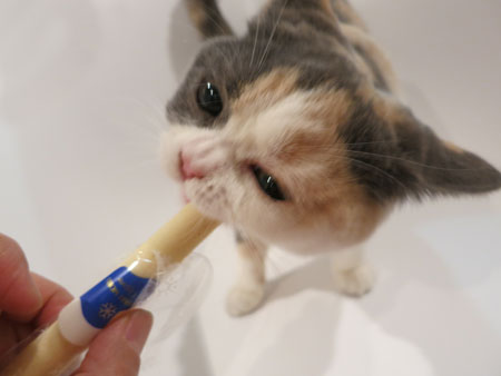 お正月の食べ物_c0108595_23325923.jpg