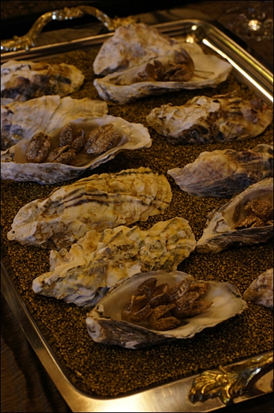 山手西洋館 世界のクリスマス2012 ベーリック・ホール_b0145398_23353621.jpg