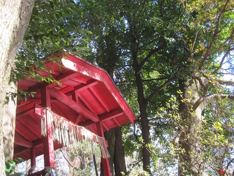 c0158301_1517195.jpg
