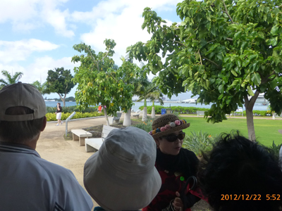 親孝行 ハワイの旅_f0126903_22262886.jpg