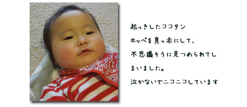 年末の一日を孫と過ごす_c0051105_2322310.jpg