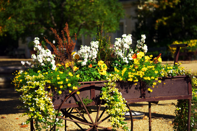 河津バガテル公園の秋薔薇1_a0263109_19572942.jpg