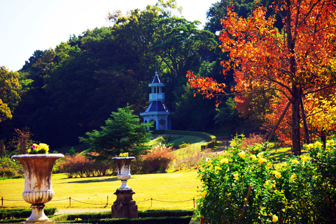 河津バガテル公園の秋薔薇1_a0263109_19582432.jpg