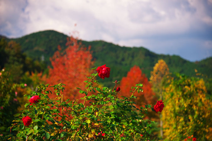 a0263109_20163660.jpg