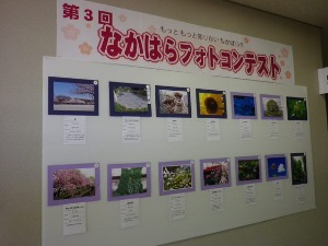 第３回なかはらフォトコンテスト応募全作品展示中です。_d0241210_15431338.jpg