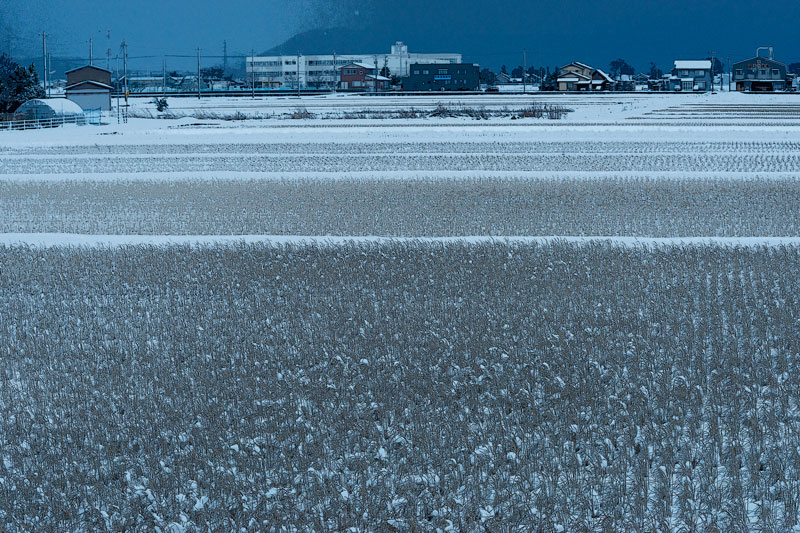 a0278914_7475344.jpg