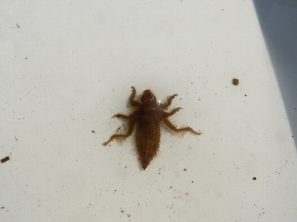 e0002314_04356.jpg