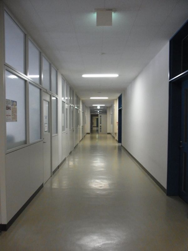 学生のいない仕事始め_c0025115_1940016.jpg