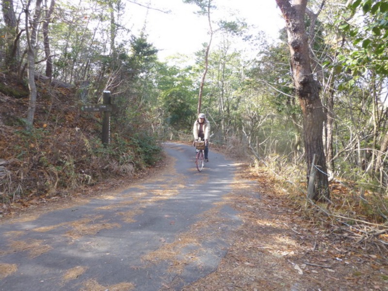 b0174217_210830.jpg