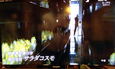 メーテレ　サクセス_d0063218_2045729.jpg