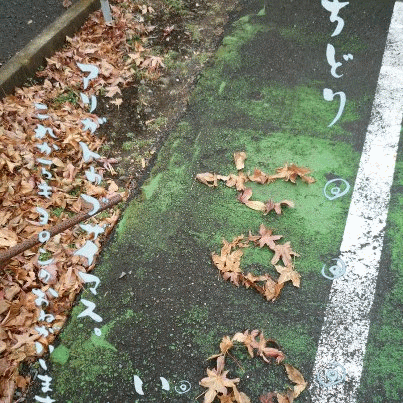 ちどり FaceBook 700いいね! ありがとうございます!_a0251920_16125976.gif