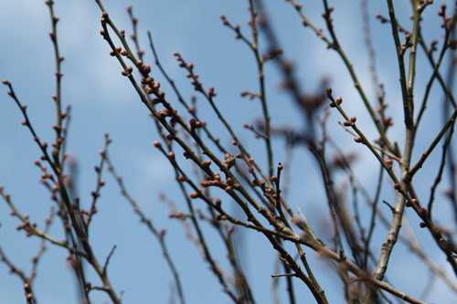 c0028424_2013303.jpg