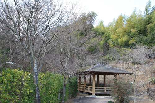 c0028424_2013969.jpg