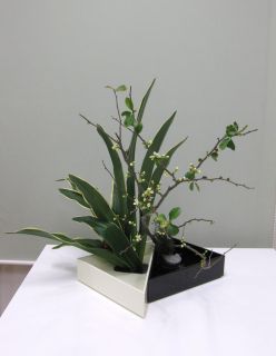 万年青で生ける新春の花_c0165824_21475515.jpg