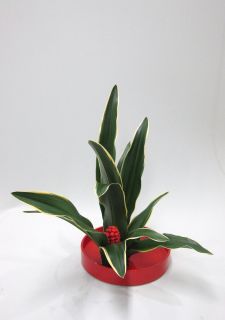 万年青で生ける新春の花_c0165824_21552871.jpg