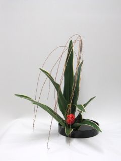 万年青で生ける新春の花_c0165824_2282595.jpg