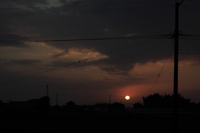 d0200926_7243579.jpg