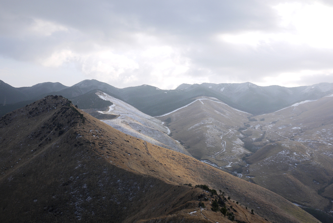 2013新春登山　　トレース＜追跡＞_e0200926_1249378.jpg