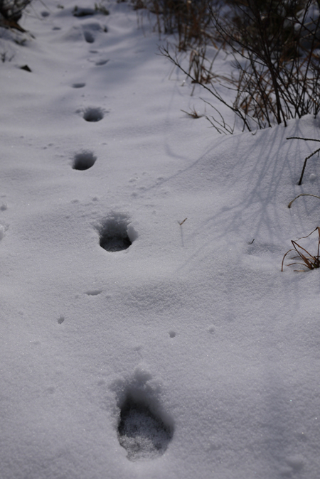 e0200926_1462516.jpg