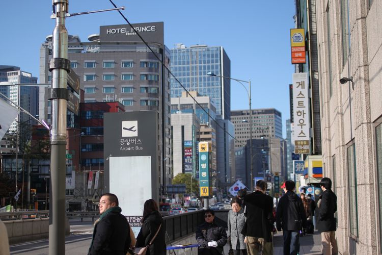 韓国旅行その9 「土俗村でサムゲタン」_d0148729_20415741.jpg