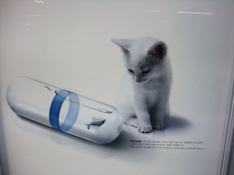 韓国旅行その9 「土俗村でサムゲタン」_d0148729_20431570.jpg