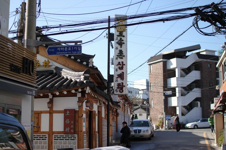 韓国旅行その9 「土俗村でサムゲタン」_d0148729_21153999.jpg