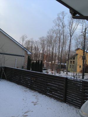 e0200529_82644.jpg