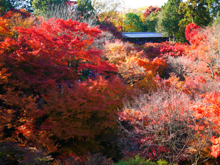 201211 京都①_d0247137_1772477.jpg