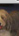 c0076939_025328.png