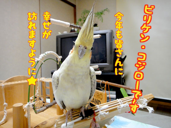 a0056140_1828351.jpg