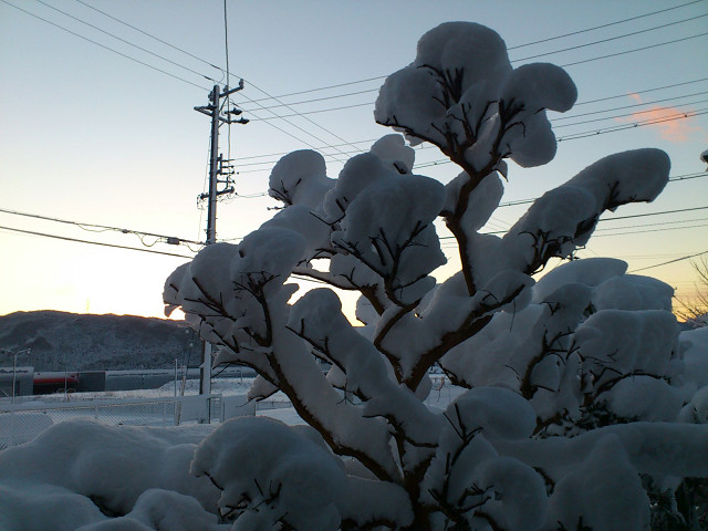 b0088444_23355427.jpg