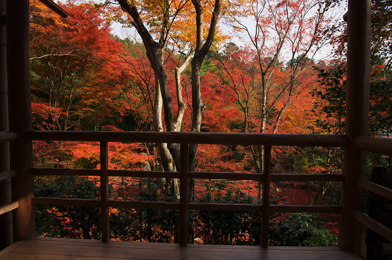 晩秋絶景（直指庵・後編）_f0155048_011080.jpg