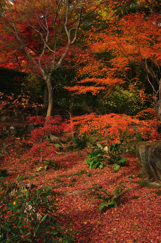 晩秋絶景（直指庵・後編）_f0155048_03226.jpg