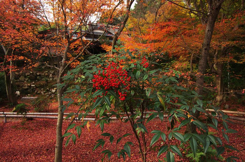 晩秋絶景（直指庵・後編）_f0155048_032839.jpg