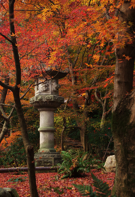 晩秋絶景（直指庵・後編）_f0155048_033457.jpg